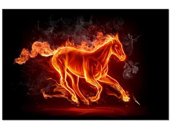 Obraz Ognisty koń, 60x40 cm - Oobrazy