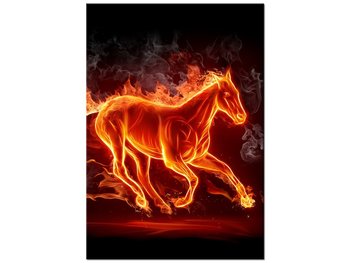 Obraz Ognisty koń, 70x100 cm - Oobrazy