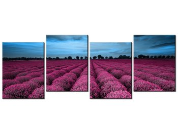 Obraz Oszałamiający krajobraz z lawendą w fuksji, 4 elementy, 120x45 cm - Oobrazy