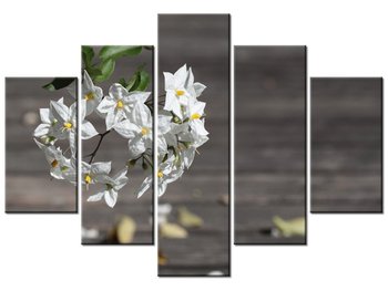 Obraz Owocne kwiaty - Mathias Erhart, 5 elementów, 150x105 cm - Oobrazy