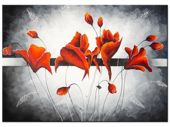Obraz Pąki czerwonych maków, 70x50 cm - Oobrazy