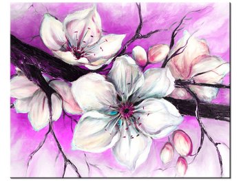 Obraz Pąki wiśni w fiolecie, 50x40 cm - Oobrazy