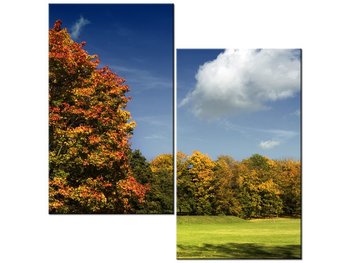 Obraz Park jesienią, 2 elementy, 60x60 cm - Oobrazy