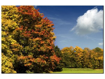 Obraz Park jesienią, 30x20 cm - Oobrazy
