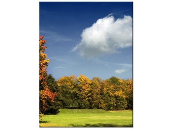 Obraz Park jesienią, 30x40 cm - Oobrazy