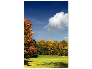 Obraz Park jesienią, 80x120 cm - Oobrazy