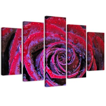 Obraz pięcioczęściowy na płótnie, Zroszona róża - 200x100 - Inny producent