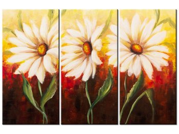 Obraz Piękne kwiaty, 3 elementy, 90x60 cm - Oobrazy