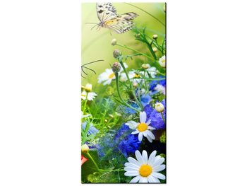 Obraz Piękny ogród, 55x115 cm - Oobrazy