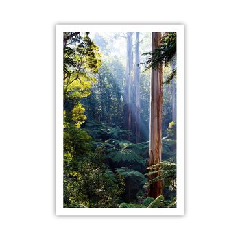 Obraz - Plakat - Baśń lasu - 61x91cm - Krajobraz Las Natura - Foto Plakaty na ścianę bez ramy - Plakat do Salonu Sypialni ARTTOR - ARTTOR