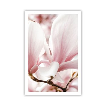 Obraz - Plakat - Bezmiar czułości - 61x91cm - Gałązka Magnolii Kwiat Magnolia - Foto Plakaty na ścianę bez ramy - Plakat do Salonu Sypialni ARTTOR - ARTTOR
