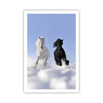 Obraz - Plakat - Czarno-biały galop - 61x91cm - Zwierzęta Koń Zima - Foto Plakaty na ścianę bez ramy - Plakat do Salonu Sypialni ARTTOR - ARTTOR