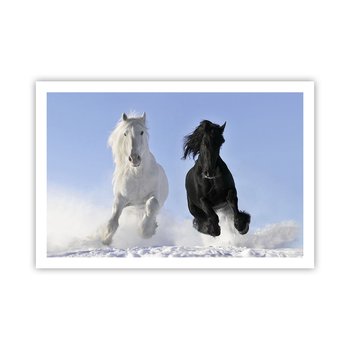 Obraz - Plakat - Czarno-biały galop - 91x61cm - Zwierzęta Koń Zima - Foto Plakaty na ścianę bez ramy - Plakat do Salonu Sypialni ARTTOR - ARTTOR