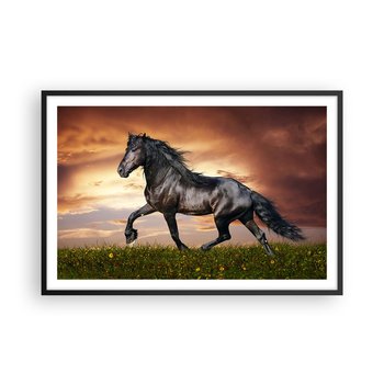 Obraz - Plakat - Czarny książę - 91x61cm - Zwierzęta Koń Arabski Krajobraz - Foto Plakaty na ścianę w czarnej ramie - Plakat do Salonu Sypialni ARTTOR - ARTTOR