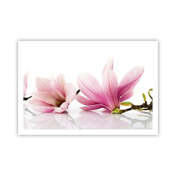 Obraz - Plakat - Delikatne jak powiew wiosny - 91x61cm - Kwiat Magnolia Natura - Foto Plakaty na ścianę bez ramy - Plakat do Salonu Sypialni ARTTOR - ARTTOR