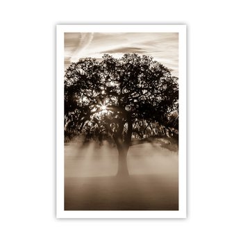 Obraz - Plakat - Drzewo wiadomości samego dobrego - 61x91cm - Krajobraz Drzewo Promienie Słońca - Foto Plakaty na ścianę bez ramy - Plakat do Salonu Sypialni ARTTOR - ARTTOR