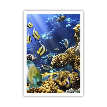 Obraz - Plakat - Duży ruch na wakacyjnym szlaku - 70x100cm - Rafa Koralowa Ocean Ryby - Foto Plakaty bez ramy na ścianę do Salonu Sypialni ARTTOR - ARTTOR