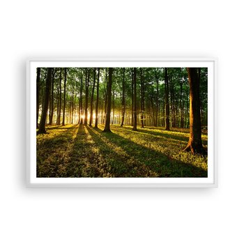 Obraz - Plakat - Fotografia wszystkich wiosen - 91x61cm - Krajobraz Las Natura - Foto Plakaty na ścianę w ramie białej - Plakat do Salonu Sypialni ARTTOR - ARTTOR