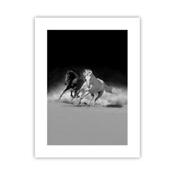 Obraz - Plakat - Galop wolności - 30x40cm - Zwierzęta Koń Galop - Foto Plakaty na ścianę bez ramy - Plakat do Salonu Sypialni ARTTOR - ARTTOR