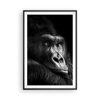 Obraz - Plakat - I co się patrzysz? - 61x91cm - Małpa Goryl Zwierzęta - Foto Plakaty na ścianę w czarnej ramie - Plakat do Salonu Sypialni ARTTOR - ARTTOR