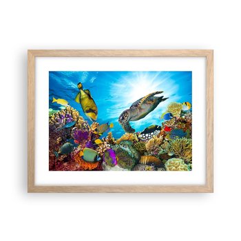 Obraz - Plakat - Koralowa promenada - 40x30cm - Rafa Koralowa Morze Podwodny Świat - Foto Plakaty na ścianę w ramie jasny dąb - Plakat do Salonu Sypialni ARTTOR - ARTTOR