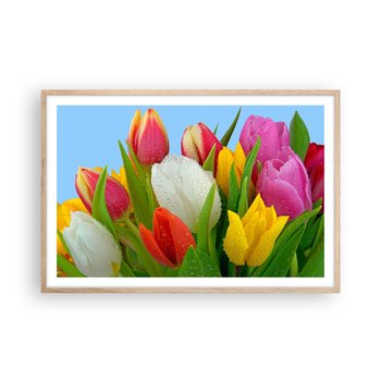 Obraz - Plakat - Kwiatowa tęcza w kroplach rosy - 91x61cm - Tulipany Kwiaty Bukiet Kwiatów - Foto Plakaty na ścianę w ramie jasny dąb - Plakat do Salonu Sypialni ARTTOR - ARTTOR