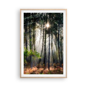 Obraz - Plakat - Leśne uroczysko - 61x91cm - Las Natura Słońce - Foto Plakaty na ścianę w ramie jasny dąb - Plakat do Salonu Sypialni ARTTOR - ARTTOR