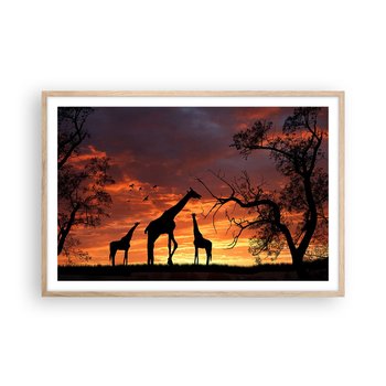 Obraz - Plakat - Mała kolacja w gronie najbliższych - 91x61cm - Zwierzęta Żyrafa Afryka - Foto Plakaty na ścianę w ramie jasny dąb - Plakat do Salonu Sypialni ARTTOR - ARTTOR