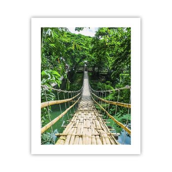 Obraz - Plakat - Małpi most nad zielenią - 40x50cm - Krajobraz Dżungla Filipiny - Foto Plakaty bez ramy do Salonu Sypialni ARTTOR - ARTTOR