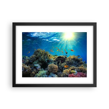 Obraz - Plakat - Podwodne skarby - 40x30cm - Rafa Koralowa Ocean Morski - Foto Plakaty na ścianę w czarnej ramie - Plakat do Salonu Sypialni ARTTOR - ARTTOR