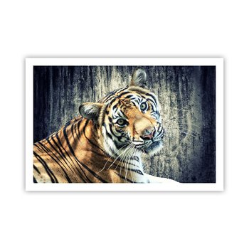 Obraz - Plakat - Portret w strugach światła - 91x61cm - Zwierzęta Tygrys Afryka - Foto Plakaty na ścianę bez ramy - Plakat do Salonu Sypialni ARTTOR - ARTTOR