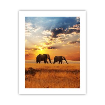 Obraz - Plakat - Rodzinna przechadzka - 40x50cm - Zwierzęta Afryka Słoń - Foto Plakaty bez ramy do Salonu Sypialni ARTTOR - ARTTOR