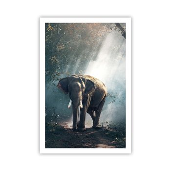 Obraz - Plakat - Spokojna przechadzka - 61x91cm - Zwierzęta Słoń Dżungla - Foto Plakaty na ścianę bez ramy - Plakat do Salonu Sypialni ARTTOR - ARTTOR