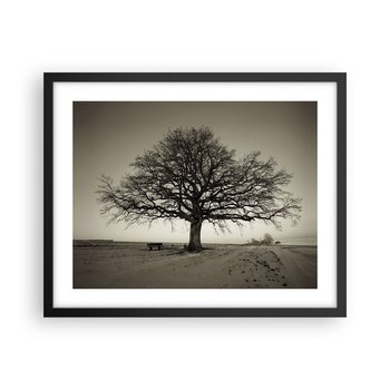 Obraz - Plakat - Stąd do wieczności - 50x40cm - Krajobraz Drzewo Natura - Foto Plakaty w ramie koloru czarnego do Salonu Sypialni ARTTOR - ARTTOR