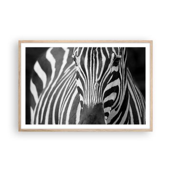 Obraz - Plakat - Świat jest czarno-biały - 91x61cm - Zwierzęta Zebra Czarno-Biały - Foto Plakaty na ścianę w ramie jasny dąb - Plakat do Salonu Sypialni ARTTOR - ARTTOR