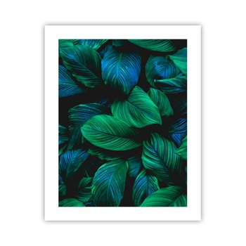 Obraz - Plakat - W zielonym tłumie - 40x50cm - Zielone Liście Roślina Tropikalna Natura - Foto Plakaty bez ramy do Salonu Sypialni ARTTOR - ARTTOR