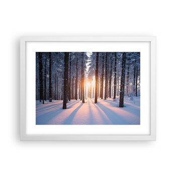 Obraz - Plakat - Wyraźnie czarno na białym - 40x30cm - Krajobraz Las Śnieg - Foto Plakaty na ścianę w ramie białej - Plakat do Salonu Sypialni ARTTOR - ARTTOR