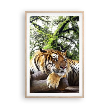 Obraz - Plakat - Z wyrazami szacunku - 61x91cm - Tygrys Zwierzęta Drapieżnik - Foto Plakaty na ścianę w ramie jasny dąb - Plakat do Salonu Sypialni ARTTOR - ARTTOR