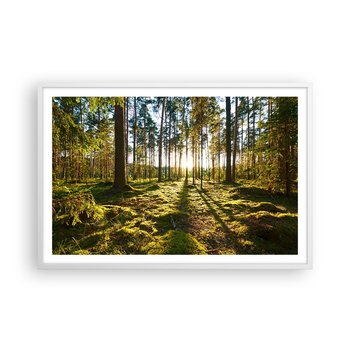 Obraz - Plakat - …Za siedmioma lasami - 91x61cm - Krajobraz Las Natura - Foto Plakaty na ścianę w ramie białej - Plakat do Salonu Sypialni ARTTOR - ARTTOR