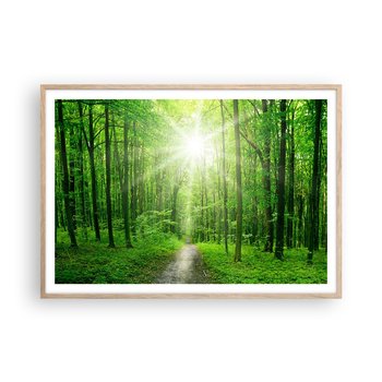 Obraz - Plakat - Zielona katedra - 100x70cm - Krajobraz Las Promienie Słońca - Foto Plakaty w ramie koloru jasny dąb do Salonu Sypialni ARTTOR - ARTTOR