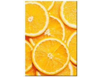 Obraz Plasterki pomarańczy, 70x100 cm - Oobrazy