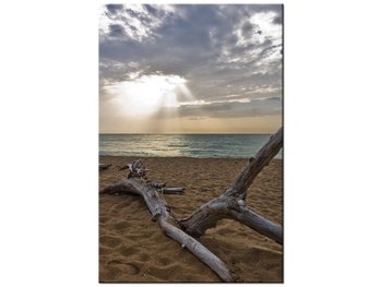 Obraz Plaża - Benson Kua, 80x120 cm - Oobrazy