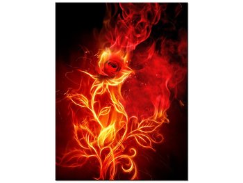 Obraz Płomienista róża, 30x40 cm - Oobrazy