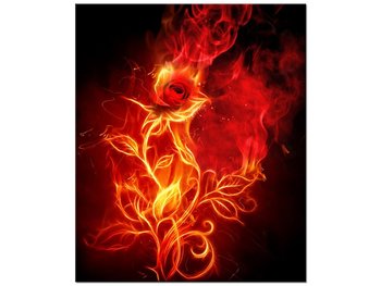 Obraz Płomienista róża, 50x60 cm - Oobrazy