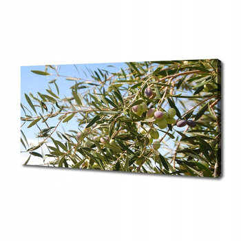 Obraz Płótno na Drewnianej Ramie - Canvas Drzewo oliwne 140x70 cm - Inny producent