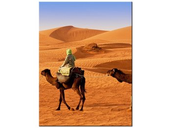 Obraz Podróż po pustyni, 30x40 cm - Oobrazy