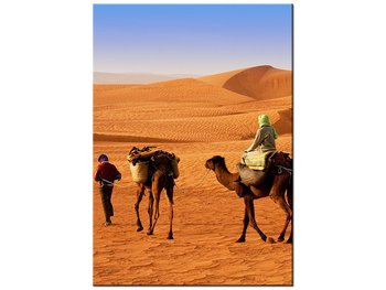 Obraz Podróż po pustyni, 50x70 cm - Oobrazy
