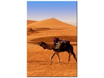 Obraz Podróż po pustyni, 60x90 cm - Oobrazy