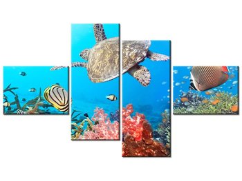 Obraz Podwodna Panorama, 4 elementy, 140x80 cm - Oobrazy