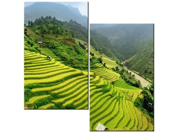 Obraz Pola ryżowe Mu Cang Chai, 2 elementy, 60x60 cm - Oobrazy